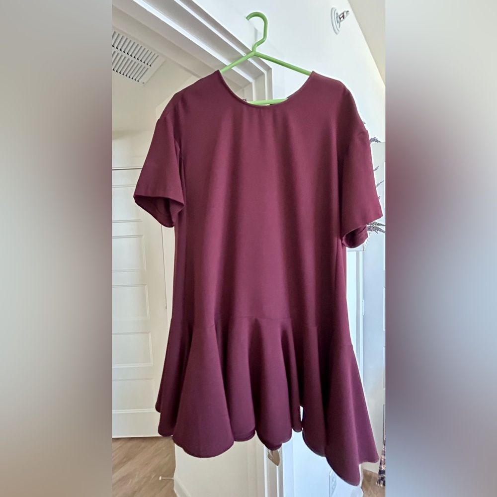 French Connection Burgundy Mini Dress